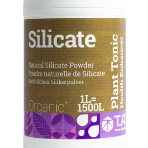 Silicate (mineral magic)