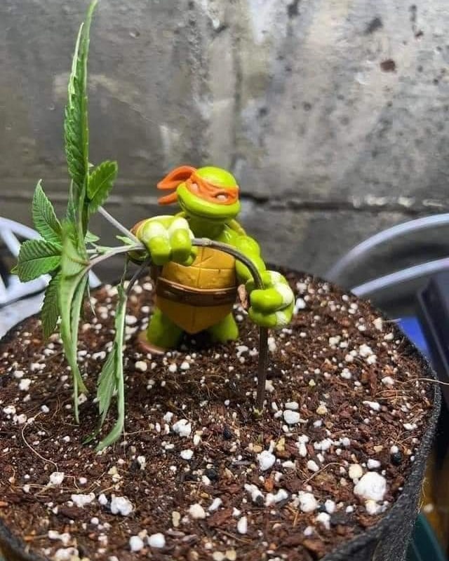 SaveClip.App 487565675 1207537814710792 6437757535072905351 n