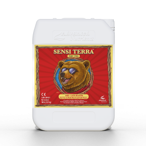 Sensi terra part two