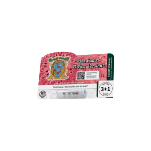 Pink guava f1 fast version sweet seeds