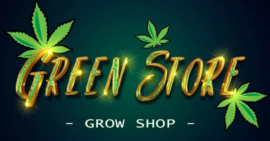 407201999 203138889509368 807615273677323475 n2