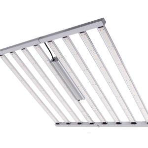 Sistema led spider king 1000 w