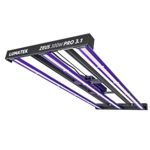 Sistema led zeus 300 w pro 3.1 lumatek