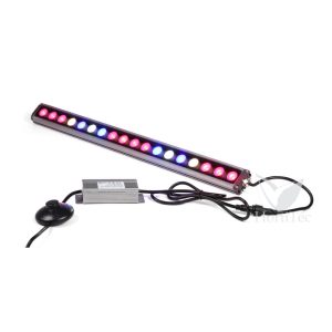 Led ladder series