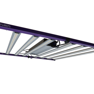 Sistema led cosmos 1000w