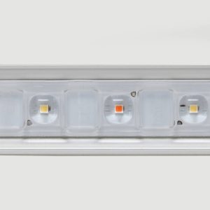 Led flex 10